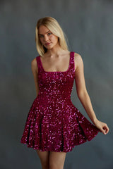 Lacy Velvet Sequin Skater Mini Dress