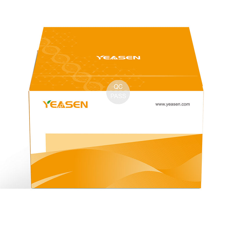 Hieff NGS™ FFPE DNA Repair Reagent  _ 12606ES