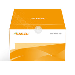 Hieff NGS™ FFPE DNA Repair Reagent  _ 12606ES