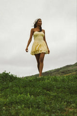 Dixie Bustier Mini Dress