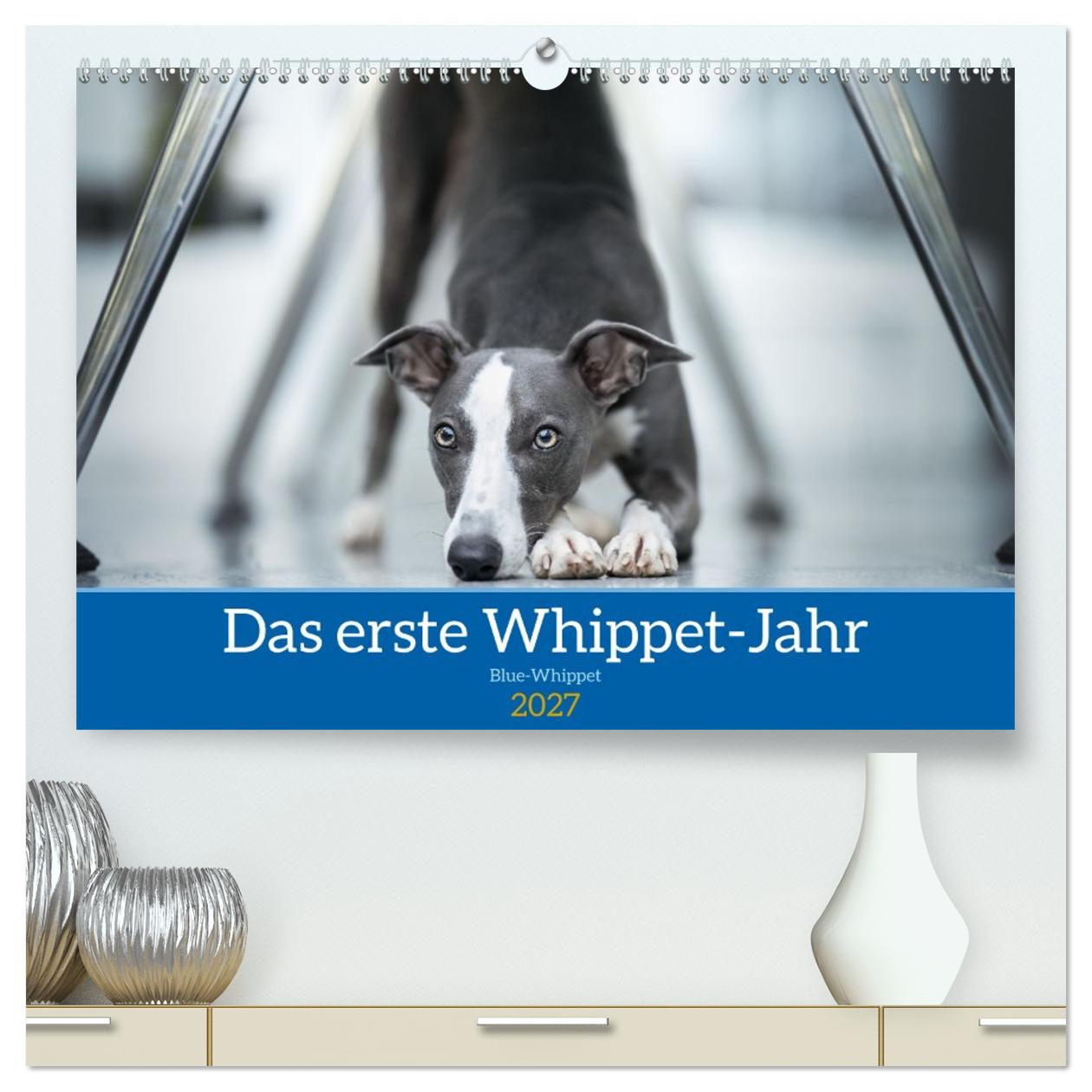 Das erste Whippet-Jahr (CALVENDO Premium Wandkalender 2027)