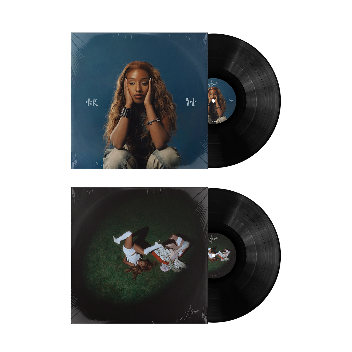ALEMEDA - Dual EP 'FK IT' & ' But What The Hell Do I know' Combined Vinyl