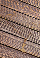 Golden Brice Necklace