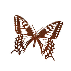 Tiger Swallowtail Butterfly